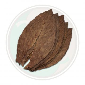 Dominican Seco Piloto Cubano Seco Cigar Filler Whole Tobacco Leaf